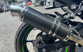 KAWASAKI NINJA 250 EX250P