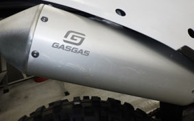 GASGAS EC 250 F 1991