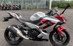 KAWASAKI NINJA 250 EX250Y