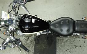 YAMAHA VIRAGO 250 2020 3DM
