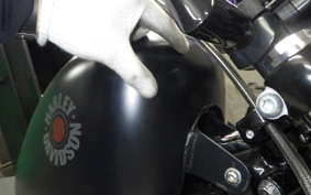 HARLEY XL883N 2019