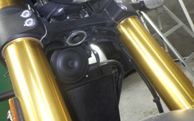 TRIUMPH SPEED400 2024