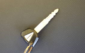 KAWASAKI NINJA 250 EX250P