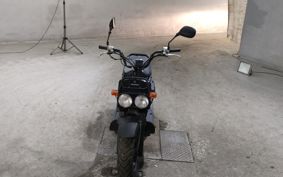 HONDA ZUMAR AF58
