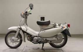HONDA LITTLE CUB 2019 AA01