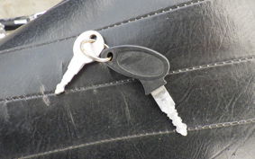 OTHER +UNREGISTERED MODEL by BDS250