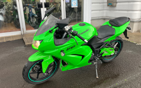 KAWASAKI NINJA 250R EX250K