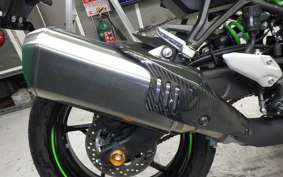 KAWASAKI ZX-4RR 2024 ZX400P