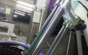 OTHER +ｼｪﾙｺST250 2026