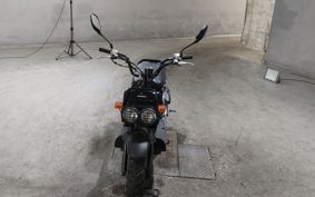 HONDA ZUMAR AF58