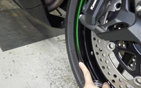 KAWASAKI NINJA 1000SX 2024 ZXT02K