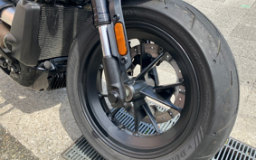 HARLEY RH1250S 2022 ZC4