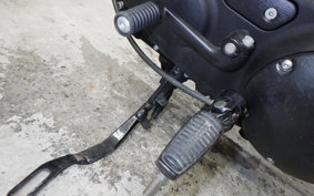 HARLEY XL883N 2015