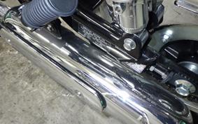 KAWASAKI W800 2025 EJ800E
