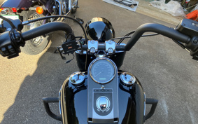 HARLEY FLSTFB 2015 JN5