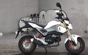 HONDA GU ROM JC61