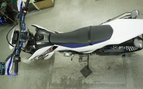 YAMAHA WR250X DG15J