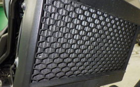 HONDA CL250-2 1999 MC57