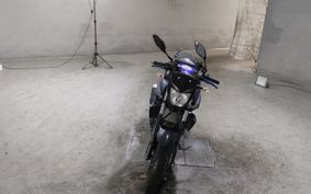 YAMAHA MT-25 RG43J