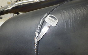 HONDA CL50 BENLY 2022 CD50