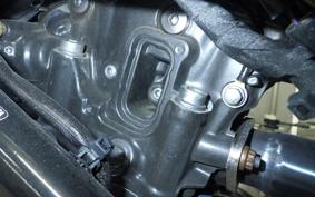 BMW G310GS 2024