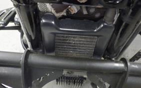 HARLEY FXBB1750 2019