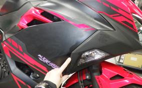 KAWASAKI NINJA 250 2 EX250P