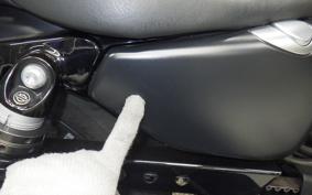 HARLEY XL883N 2020