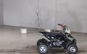 OTHER  BUGGY 50CC ..