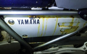YAMAHA SRX250 Gen.2 2025 3WP