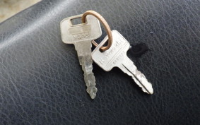 KAWASAKI KDX250SR DX250F