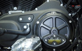 HARLEY XL1200NS 2019