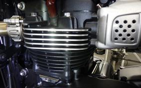 TRIUMPH BONNEVILLE T100 2024