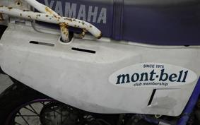 YAMAHA TT250R RAID 4GY