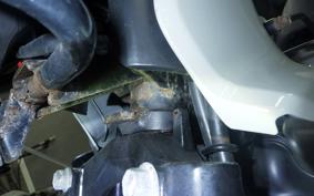 HONDA ｸﾛｽｶﾌﾞ50 2014 AA06