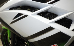 KAWASAKI NINJA 250 ABS EX250L