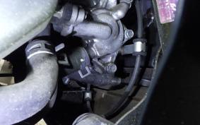 HONDA TACT Basket 2000 AF79