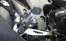 KAWASAKI NINJA 1000SX 2024
