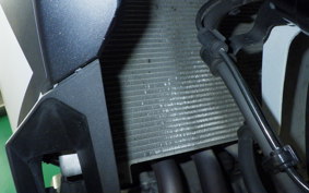 KAWASAKI ZX-4R SE 2024 ZX400P