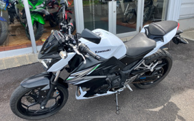 KAWASAKI Z250 ER250C