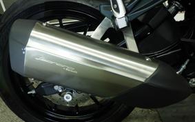 BENELLI レオンチーノ250 2012