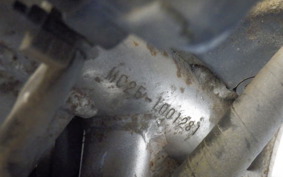 HONDA XELVIS MC25