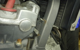 HONDA HORNET 250 2008 MC31