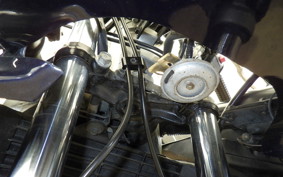 YAMAHA FZR250 R 1995 3LN