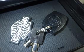 HARLEY FLHX1920 2024