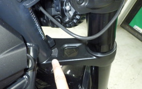 HARLEY RH1250S 2023