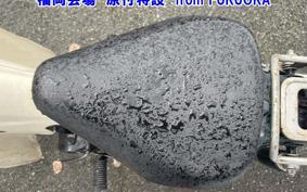 OTHER  LITTLE CUB E FI