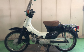 HONDA SUPER CUB50 C50