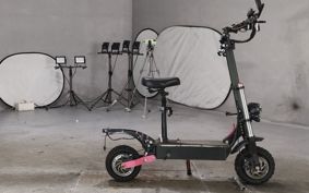 OTHER MINI BIKE ..
