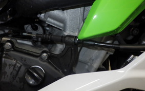 KAWASAKI ZX-4RR 2024 ZX400P